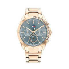 Женские часы Tommy Hilfiger 1782386 цена и информация | Женские часы | hansapost.ee