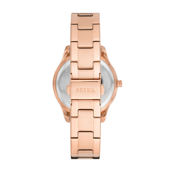 Naiste Kell Fossil Stella (Ø 37 mm) price and information | Käekellad naistele | hansapost.ee