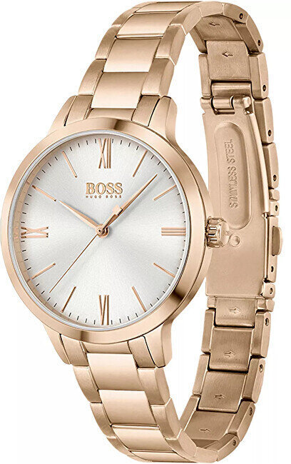 Hugo Boss цена и информация | Käekellad naistele | hansapost.ee