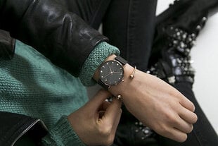 Emily Westwood Темная ракушка EAU-3318 цена и информация | Женские часы | hansapost.ee