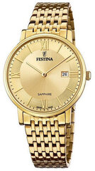 часы festina swiss made 20020/2 цена и информация | Женские часы | hansapost.ee