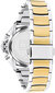 Tommy Hilfiger Scarlett 1782451 цена и информация | Käekellad naistele | hansapost.ee