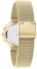 Tommy Hilfiger Libby 1782487 цена и информация | Женские часы | hansapost.ee