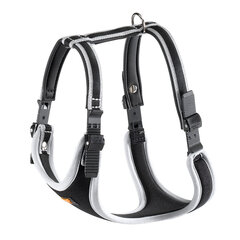 FERPLAST Ergocomfort Dog harness - M цена и информация | Ошейники, подтяжки для собак | hansapost.ee