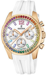 Festina Boyfriend Rainbow 20611/2 цена и информация | Женские часы | hansapost.ee