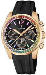 Festina Boyfriend Rainbow 20611/3 цена и информация | Женские часы | hansapost.ee