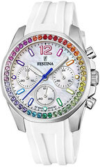 Festina Boyfriend Rainbow 20610/2 hind ja info | Käekellad naistele | hansapost.ee