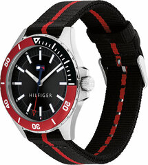 Naiste käekell Tommy Hilfiger 1792010 цена и информация | Женские часы | hansapost.ee