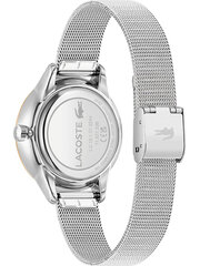 Naiste käekell Lacoste 2001204 price and information | Watches for women | hansapost.ee