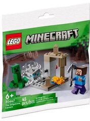 30647 LEGO® Minecraft The Dripstone Cavern, 45 tk hind ja info | Klotsid ja konstruktorid | hansapost.ee