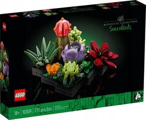 10309 LEGO® Sukkulendid цена и информация | Конструкторы и кубики | hansapost.ee
