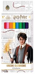 Карандаши Beniamin Harry Potter, 12 шт. цена и информация | Принадлежности для рисования, лепки | hansapost.ee