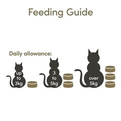 Applaws для взрослых кошек с тунцом и лососем в желе, 6х70 г цена и информация | Кошачьи консервы | hansapost.ee