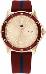 Käekell naistele Tommy Hilfiger 1782510 цена и информация | Женские часы | hansapost.ee