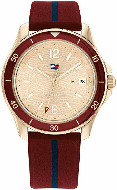 Käekell naistele Tommy Hilfiger 1782510 цена и информация | Käekellad naistele | hansapost.ee