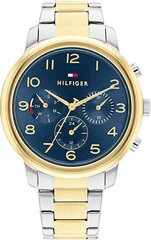 Käekell naistele Tommy Hilfiger 1782524 цена и информация | Женские часы | hansapost.ee