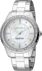 Esprit Скайлер XL ES1L353M0045 цена и информация | Женские часы | hansapost.ee