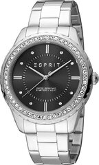 Esprit Скайлер XL ES1L353M0075 цена и информация | Женские часы | hansapost.ee
