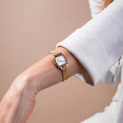 Naiste käekell Tissot T058.109.33.031.00 цена и информация | Женские часы | hansapost.ee