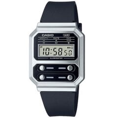 Naiste käekell Casio цена и информация | Женские часы | hansapost.ee