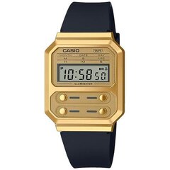 Naiste käekell Casio цена и информация | Женские часы | hansapost.ee