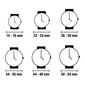 Naiste Kell Timex TW2T78700 цена и информация | Käekellad naistele | hansapost.ee
