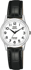 Q&Q Ladies'Watch Q&Q S281J314Y (Ø 30 mm) S7233215 цена и информация | Женские часы | hansapost.ee