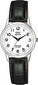 Q&Q Ladies'Watch Q&Q S281J314Y (Ø 30 mm) S7233215 hind ja info | Käekellad naistele | hansapost.ee