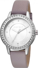 Naiste käekell Esprit Harmony Leather Silver цена и информация | Esprit Женские аксессуары | hansapost.ee