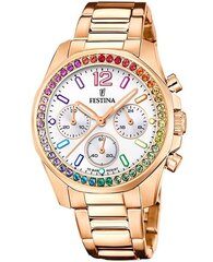 Naiste käekell Festina Boyfriend Rainbow Stainless Steel Silver цена и информация | Женские часы | hansapost.ee