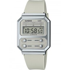 Naiste käekell Casio цена и информация | Женские часы | hansapost.ee