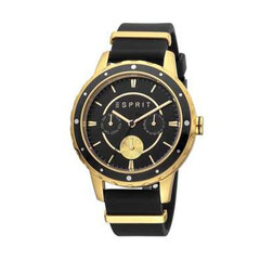 Женские часы Esprit ES1L140P0035 цена и информация | Женские часы | hansapost.ee