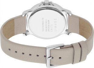Женские часы Esprit ES1L143L0025 цена и информация | Esprit Для женщин | hansapost.ee