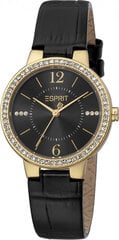Женские часы Esprit ES1L228L2025 цена и информация | Женские часы | hansapost.ee