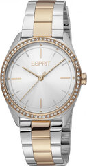 Женские часы Esprit ES1L289M0095 цена и информация | Женские часы | hansapost.ee