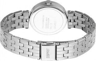 Женские часы Esprit ES1L296M0065 цена и информация | Женские часы | hansapost.ee