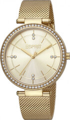 Женские часы Esprit ES1L310M0135 цена и информация | Женские часы | hansapost.ee