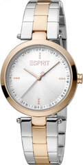 Женские часы Esprit ES1L314M0095 цена и информация | Женские часы | hansapost.ee