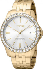 Женские часы Esprit ES1L318M0075 цена и информация | Женские часы | hansapost.ee