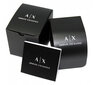 Käekell naistele Armani Exchange AX1866 hind ja info | Käekellad naistele | hansapost.ee