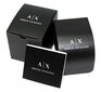 Käekell naistele Armani Exchange AX2443 hind ja info | Käekellad naistele | hansapost.ee