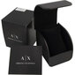 Käekell Armani Exchange AX2801 цена и информация | Käekellad naistele | hansapost.ee