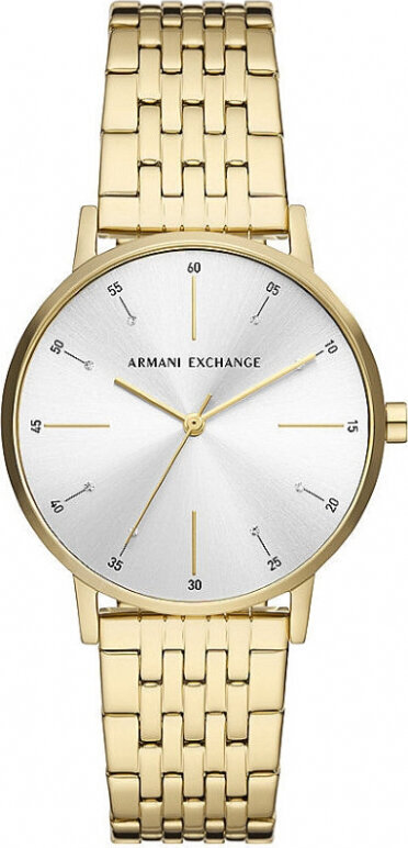 Käekell naistele Armani Exchange AX5579 цена и информация | Käekellad naistele | hansapost.ee