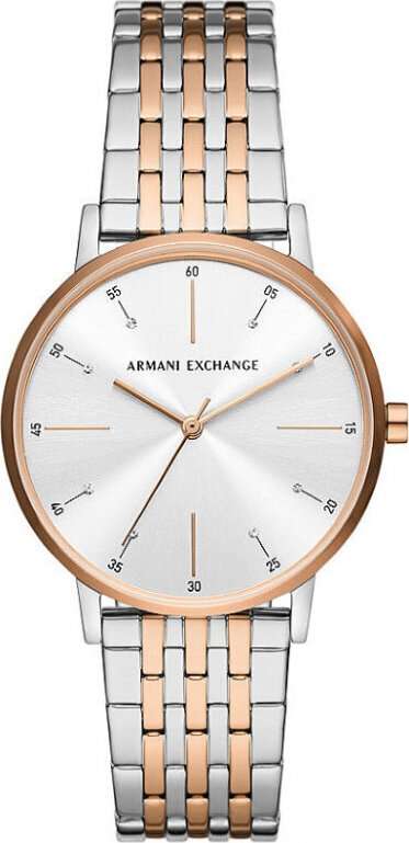 Käekell naistele Armani Exchange AX5580 цена и информация | Käekellad naistele | hansapost.ee