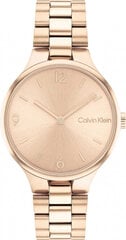 Käekell naistele Ck Calvin Klein 1681241 hind ja info | Käekellad naistele | hansapost.ee