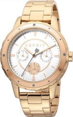 Женские часы Esprit ES1L140M0115 цена и информация | Женские часы | hansapost.ee