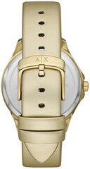 Käekell Armani Exchange AX5271 hind ja info | Käekellad naistele | hansapost.ee