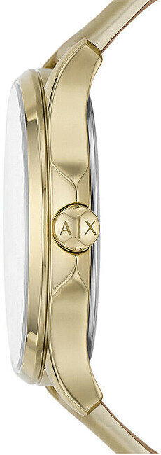 Käekell Armani Exchange AX5271 hind ja info | Käekellad naistele | hansapost.ee