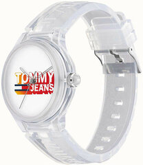 Naiste käekell Tommy Hilfiger 1720027 цена и информация | Женские часы | hansapost.ee