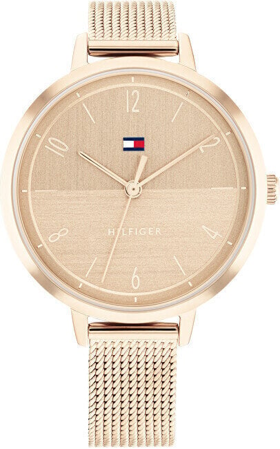 Naiste käekell Tommy Hilfiger 1782580 цена и информация | Käekellad naistele | hansapost.ee